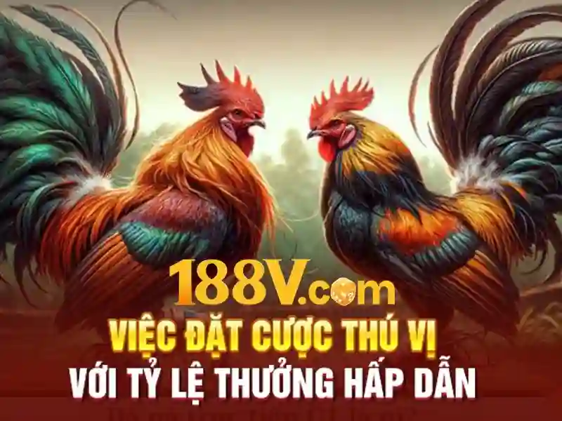 Việt Vị Trong Bóng Đá