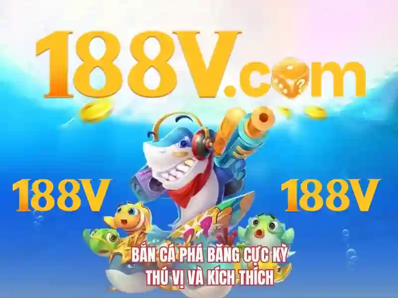 Trải nghiệm người dùng và phản hồi từ cộng đồng