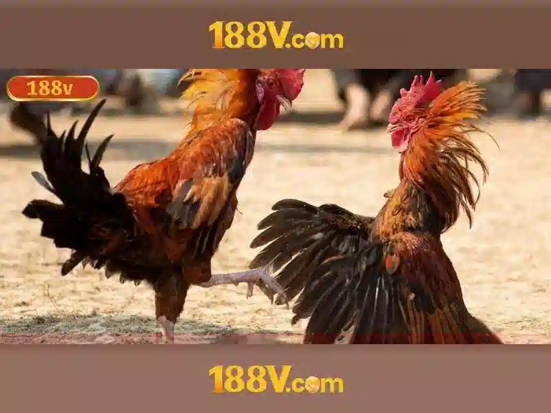 Việt Vị Trong Bóng Đá