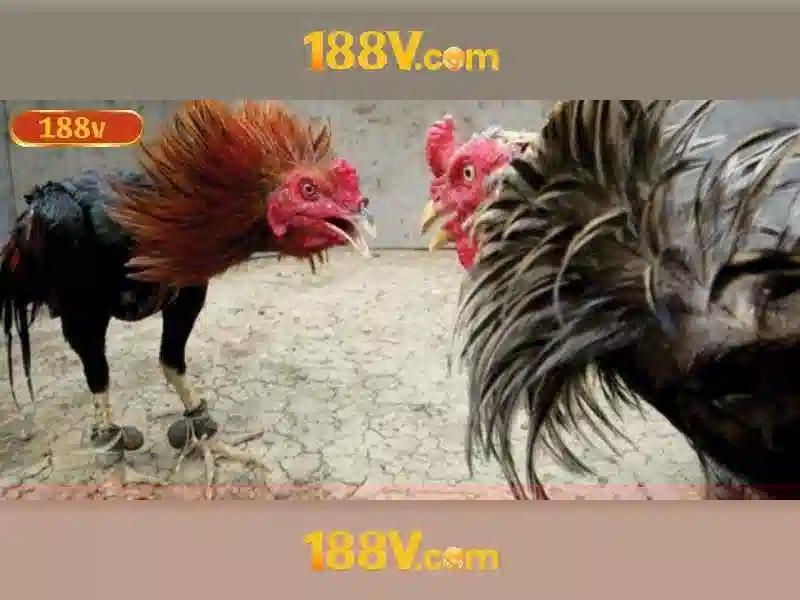 Nguy co va an toan khi lam viec voi 188V