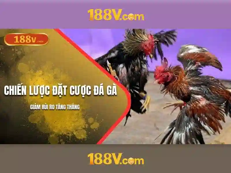 188v tại app – Tóm tắt chủ đề và giá trị cốt lõi