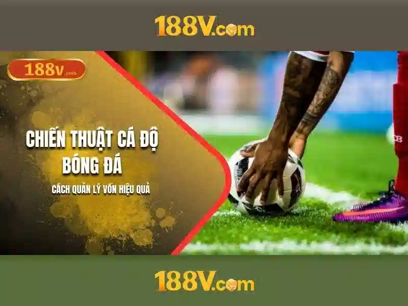 Tương lai của 188v và cách chúng ta đối mặt