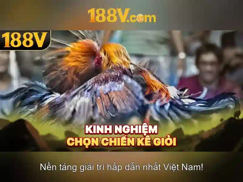 Việt Vị Trong Bóng Đá