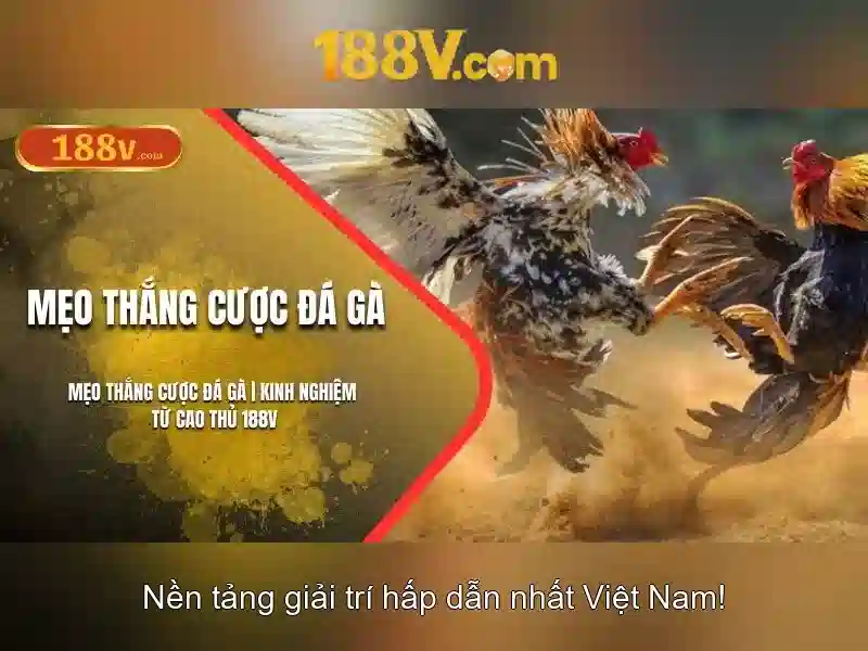 Việt Vị Trong Bóng Đá