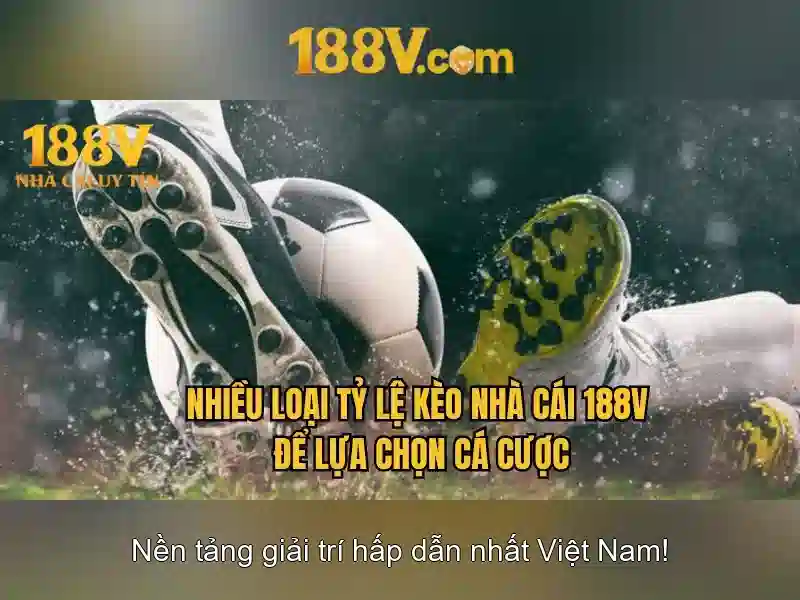 Bull Bull trực tuyến