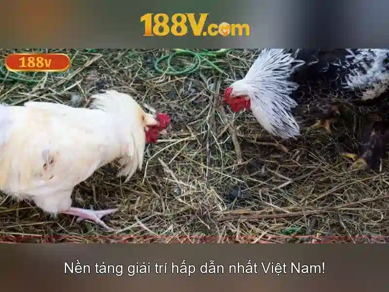 Việt Vị Trong Bóng Đá
