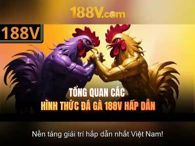 Bull Bull trực tuyến