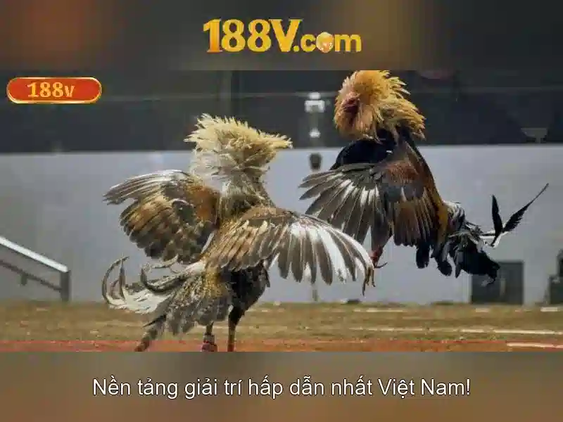 Kết luận