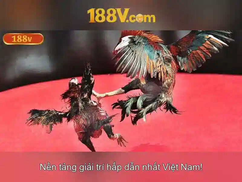 Việt Vị Trong Bóng Đá