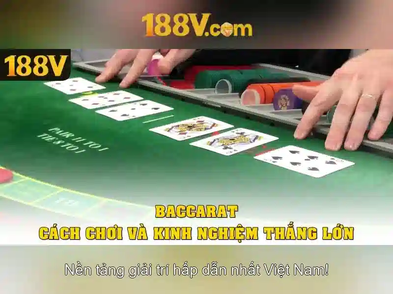 Trải nghiệm người dùng và phản hồi cộng đồng