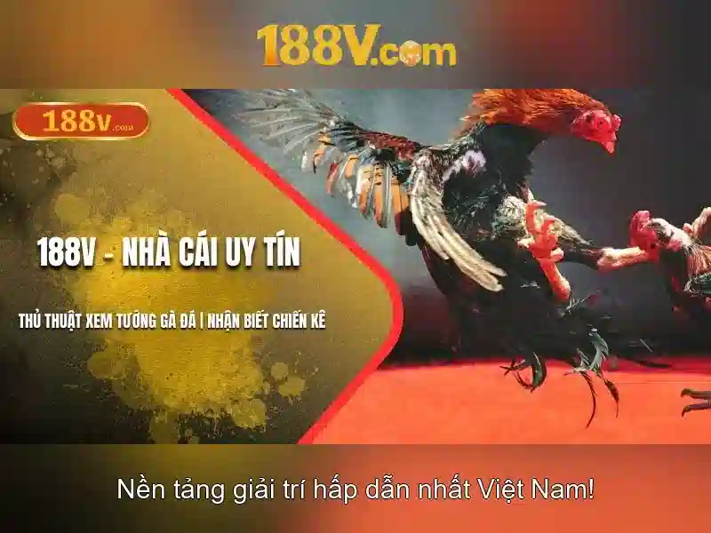 Bull Bull trực tuyến