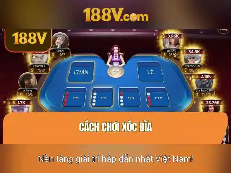 Kết luận và triển vọng