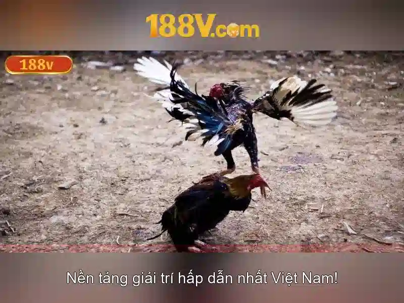 Việt Vị Trong Bóng Đá
