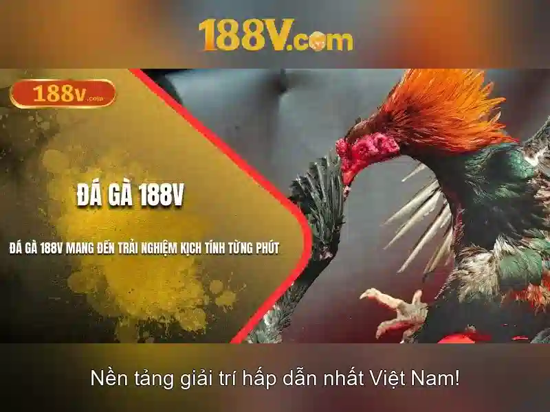 Bull Bull trực tuyến