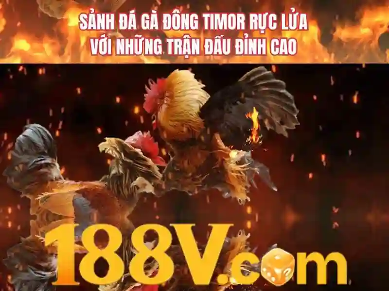 Sản phẩm và dịch vụ chủ chốt: ứng dụng thực tiễn của slot 188v