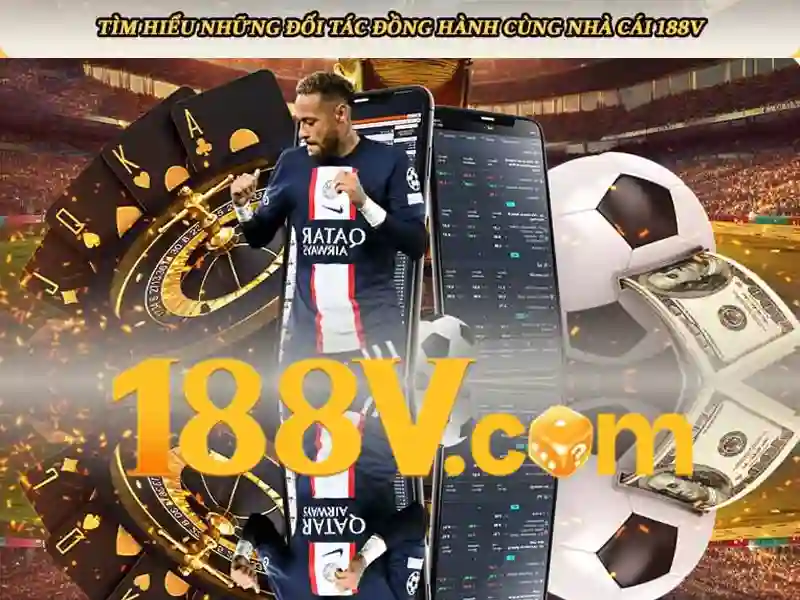 Trải nghiệm người dùng và phản hồi từ cộng đồng